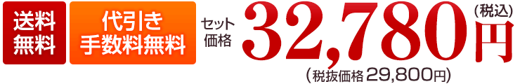 送料無料 32,780円(税込)